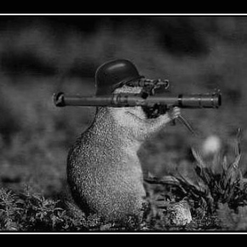 RPG