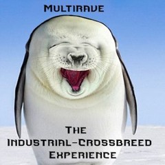 Multirave @ The Industrial-Crossbreed Experience