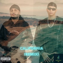Sepehr Khalse X Young Sudden - California (Remix) - (Prod By SoroushNK)