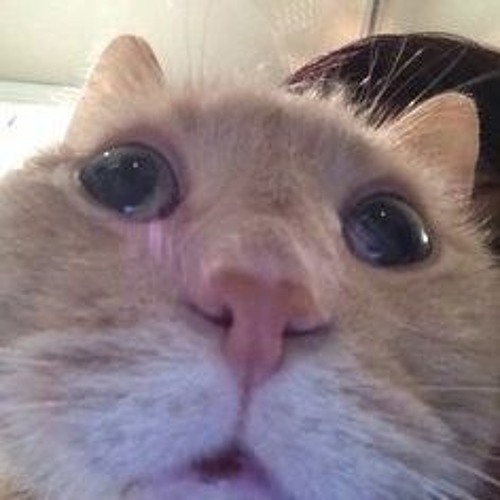 OUUOUU- WANKSTAS bass boosted