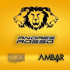 THREE LIONS ⚜️ GOLDEN LION 3RD ANNIVERSARY⚜️