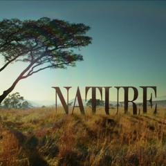 "The Elephant and the Termite" (PBS  - Nature)