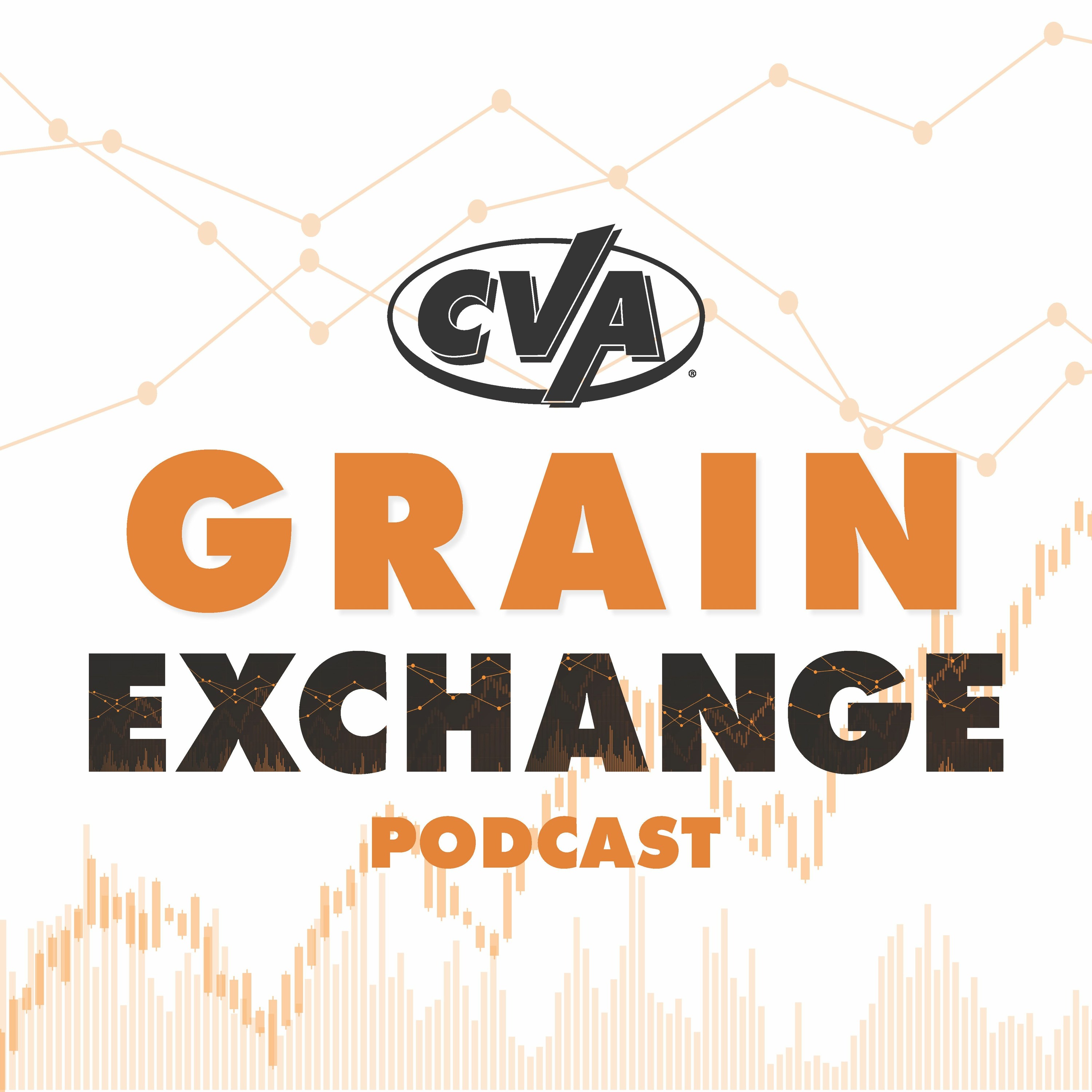 Episode 47 | Old Crop Stocks are in the Books! episode artwork