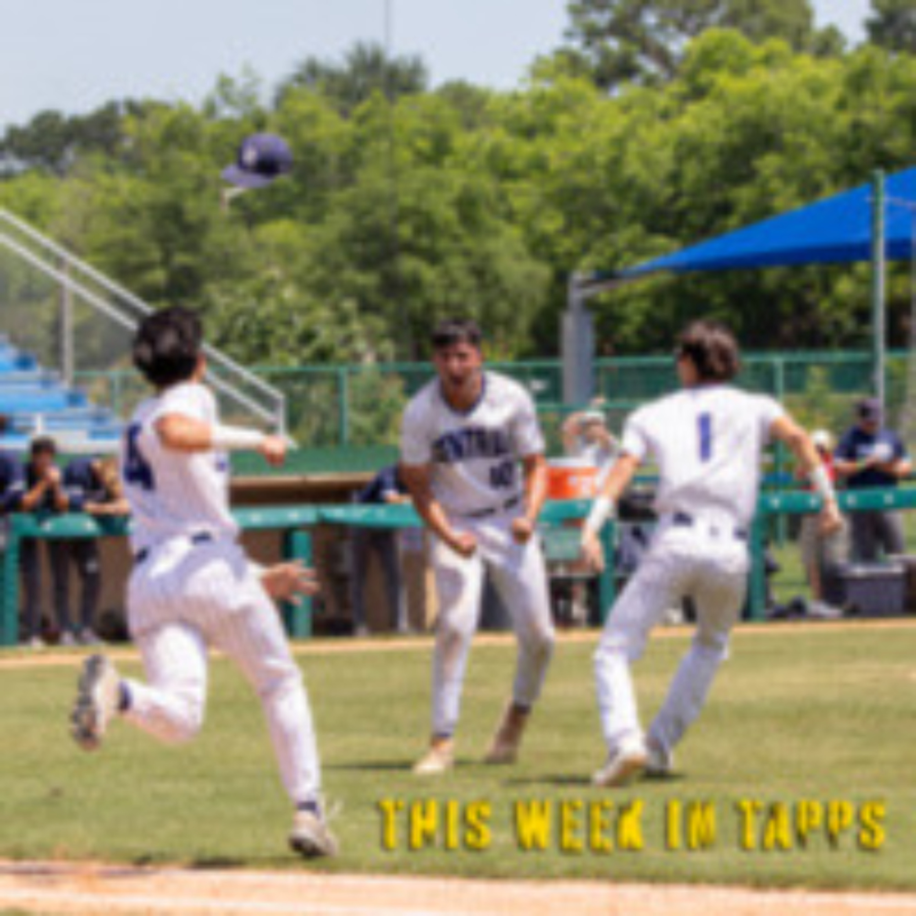 This Week in TAPPS 5-20-24