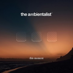 The Ambientalist - This Moment