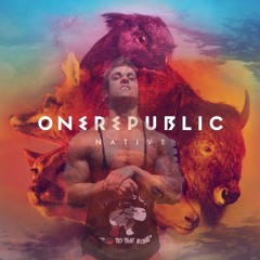 Onerepublic - Counting Stars (Hardstyle)