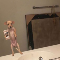 Desenfocao Remix - Robin X Skvnk X Zarna.mp3