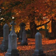 Fall Graves [2022]