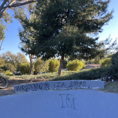 The Mad Lads - You Blew It