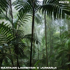 Raataan Lambiyan X Jumanji (Prito's Mix)