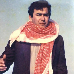 ‎⁨رضا الخياط | طير الحمام