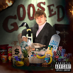 GOOSED