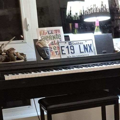 mani - fried prod zigimo breadwinner