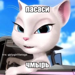 прятки в препаратах (feat. a5newrock)
