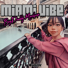 MIAMI VIBE MIX - BIGDADDY