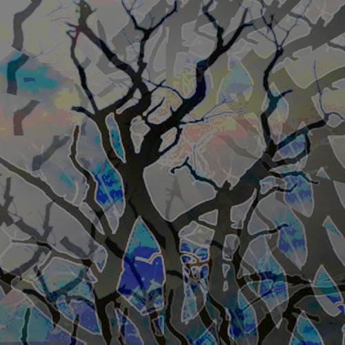 Branching Out (disquiet0596)