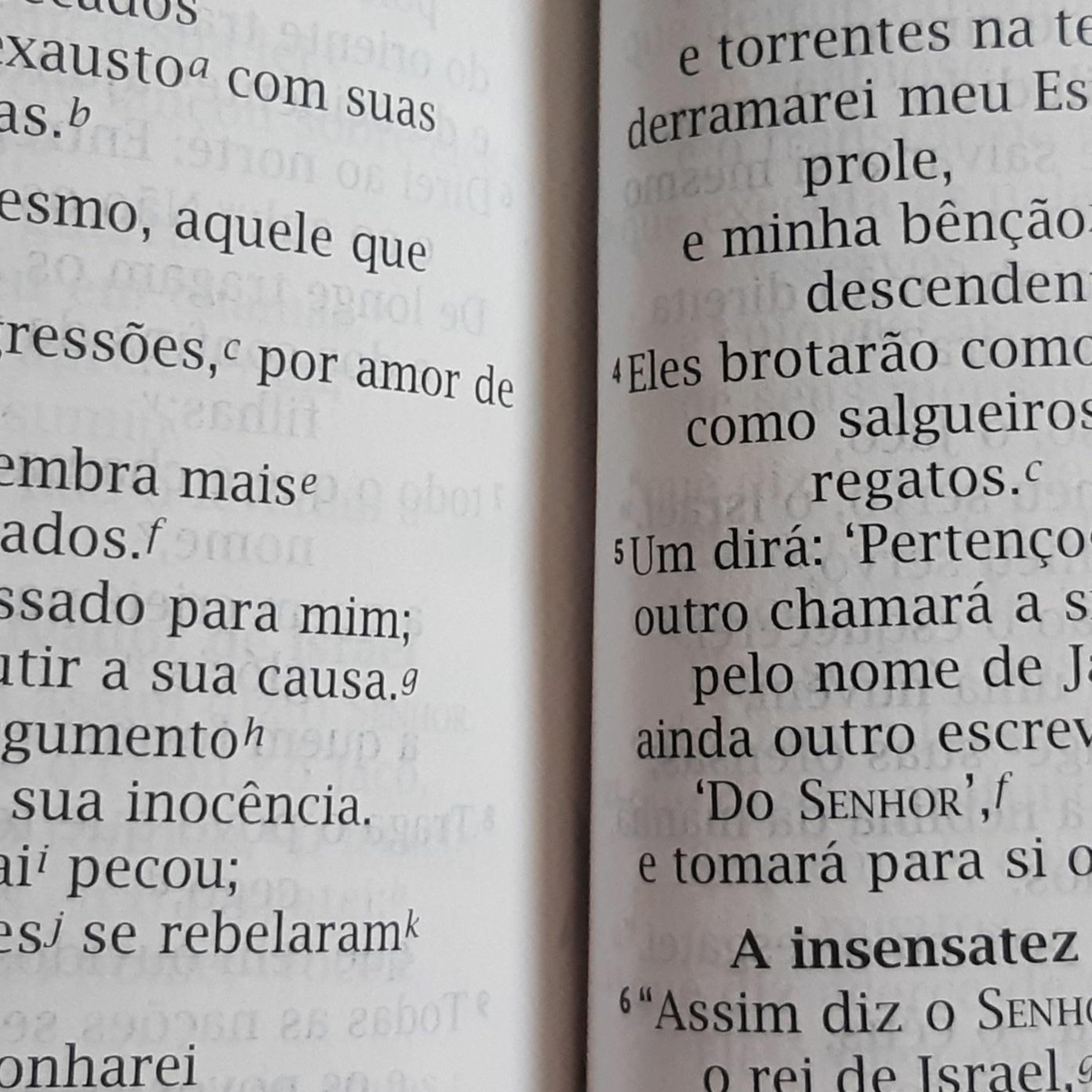 Espada de dois gumes