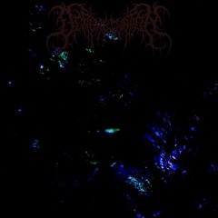 Autoerotic Hallucinations /clip v.2