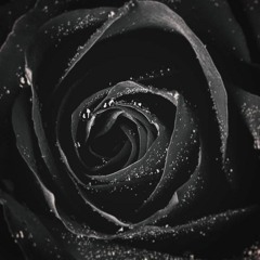 Miyuri - Black Rose