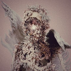 rotting angel