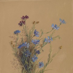 as winter fades; a meadow of delight