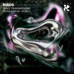 Snippets - Birds - Space Transmissions From A Cruel World