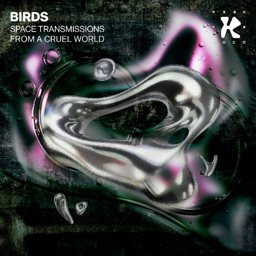 Snippets - Birds - Space Transmissions From A Cruel World