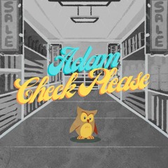 Owl City - Adam, Check Please (Remix)