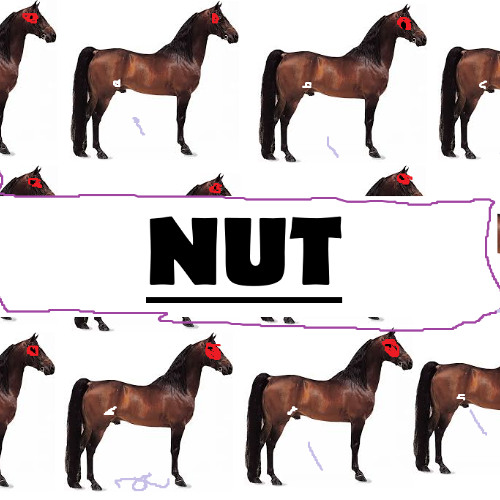 Nut