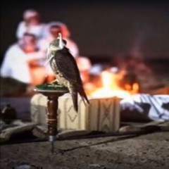9l5mh -لاتحسب اني متصل فيك محتاج
