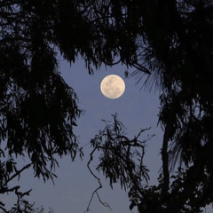 cold hands w rpgstar (prod. metlast)