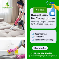 Deep Clean. No Compromise – Amazing Carpet Cleaning for Northside Residents