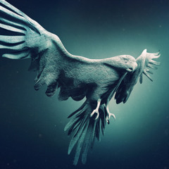 Animus (Shorter)