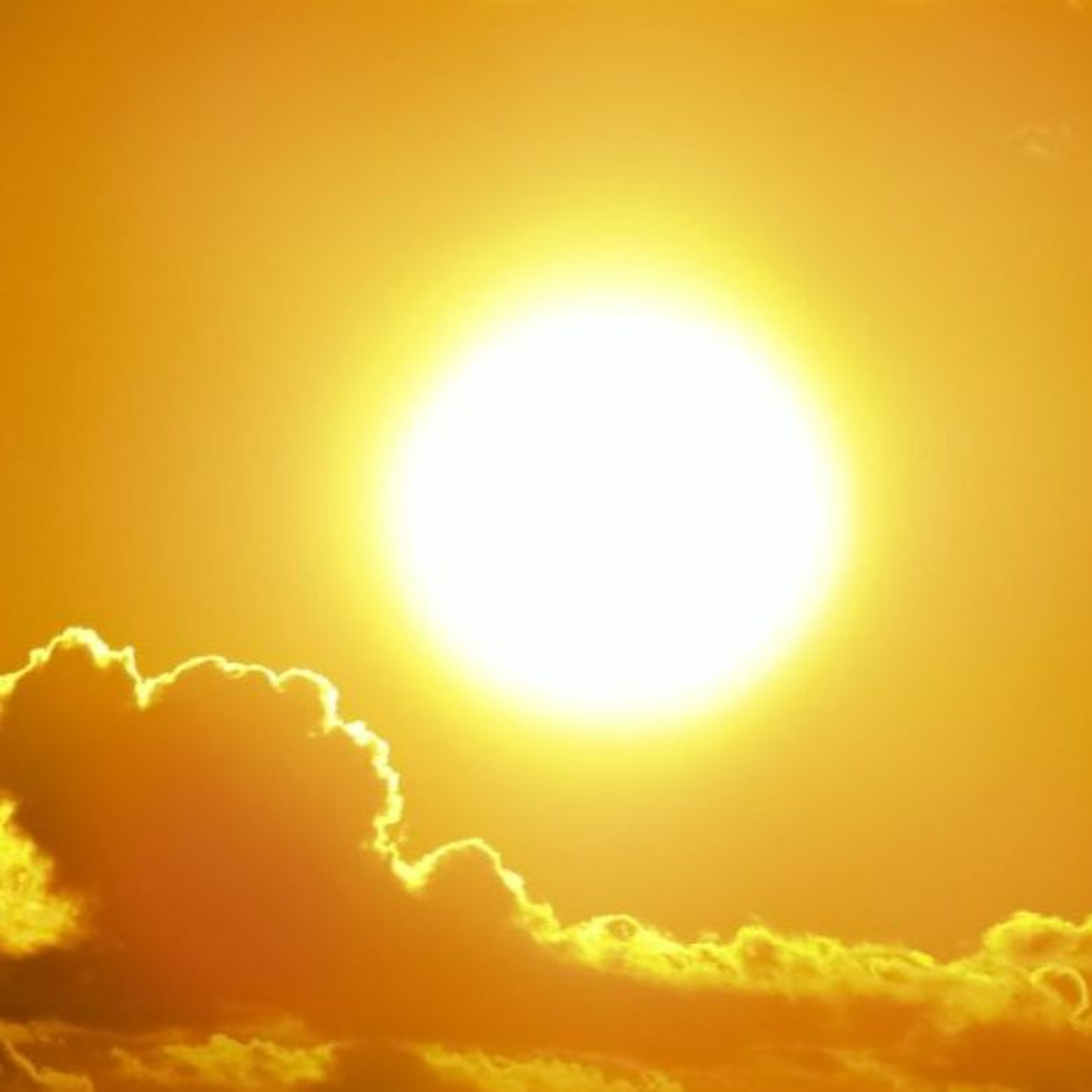 cover of episode Conditions Seeking The Light Of Liberation