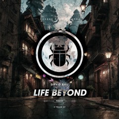 David Bau - Life Beyond