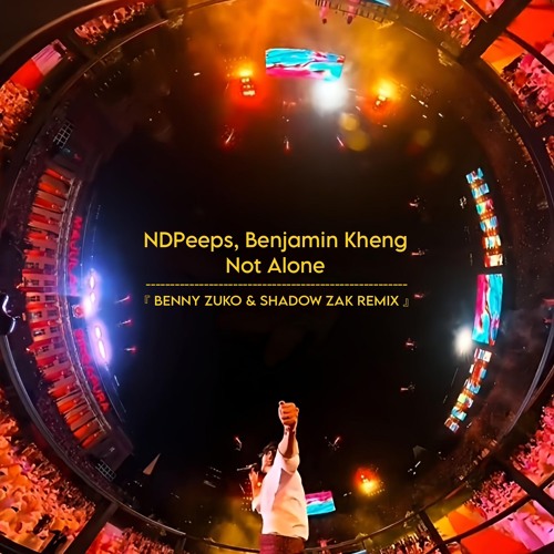 Not Alone (Benny Zuko & Shadow Zak Remix)