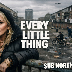 EVERY LITTLE THING - SubNorth
