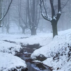 Fuego de Nieve
