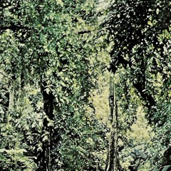 [JGT62] "Dub Beat By Dawn" - Discalce (Previews)