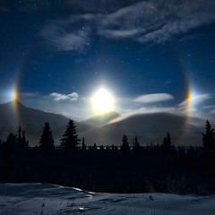 The Last Moondog