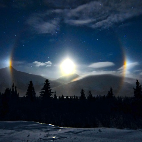The Last Moondog
