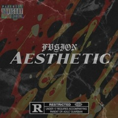 FVSIØN - Aesthetic