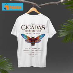 Cicada Reunion Tour 2024 Live In Concert For The First Time Since 1803 Shirt