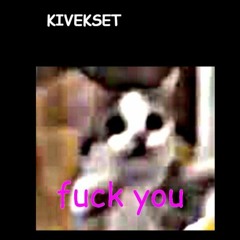 Picture Of A Creepy Low Quality Kitten Saying Fuck You In Pink Colored Comic Sans