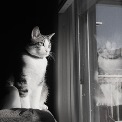 My Dearest Hue (Hue Main Theme)