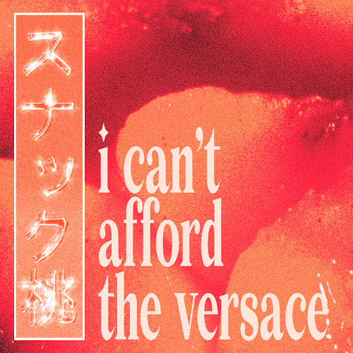 i can't afford the versace