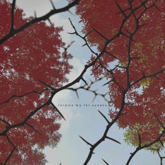 forgive me for escape (feat. koatashawty ☽)