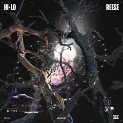 HI-LO - REESE - Drumcode - DC335
