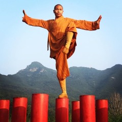 Reflections 110: Gap in the Resume