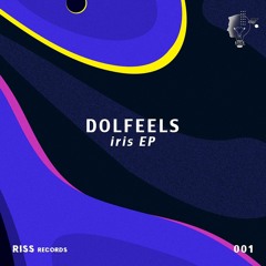 Dolfeels - Basic Mood (Original Mix) Preview